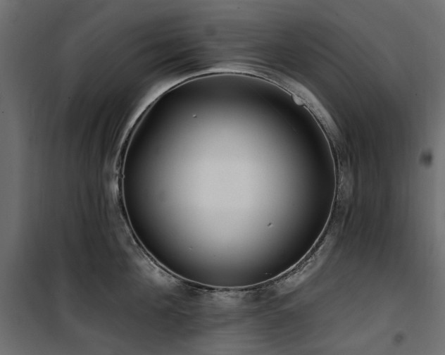 X0000100870908200806201237