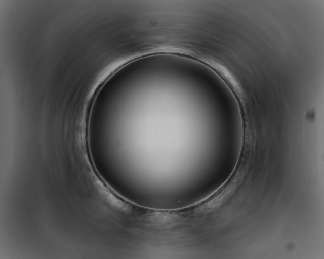 X0000100870910200806201237