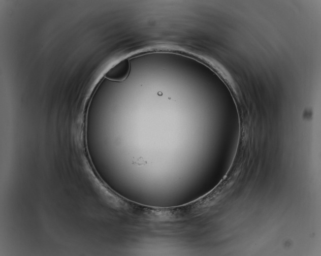 X0000100870911200806201237