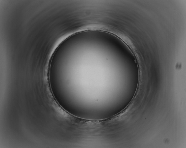 X0000100870912200806201237