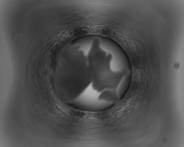 X0000100870913200806201236