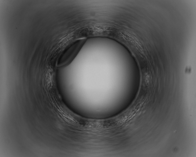 X0000100870914200806201236