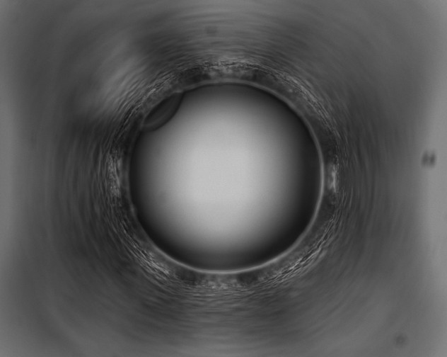 X0000100870915200806201236