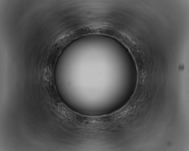 X0000100870917200806201236