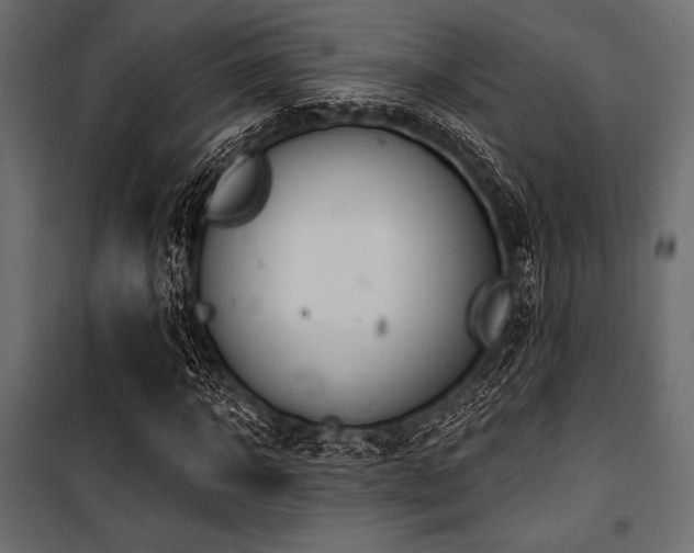 X0000100870918200806201237