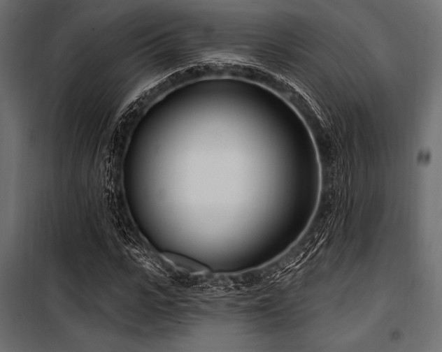X0000100870919200806201237