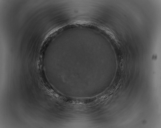 X0000100870920200806201237