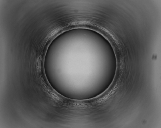X0000100870921200806201237