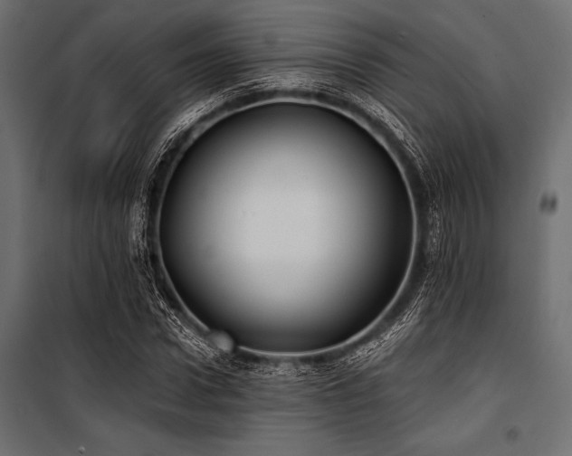 X0000100870922200806201237