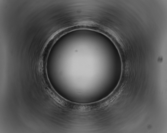 X0000100870923200806201237