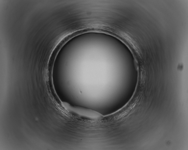 X0000100870924200806201237