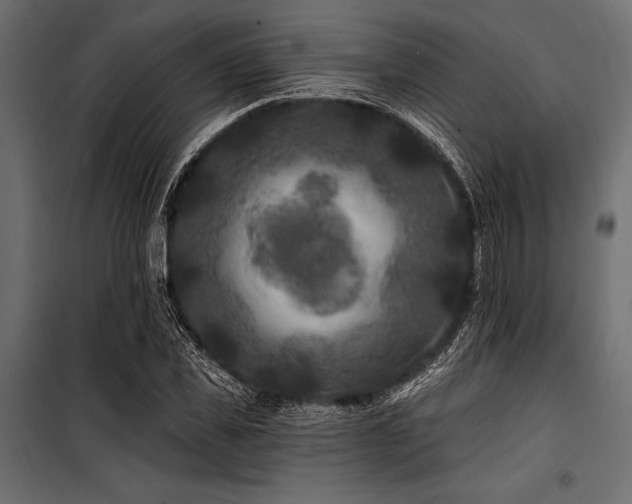 X0000100870925200806201237