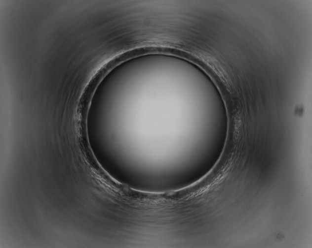 X0000100870926200806201237