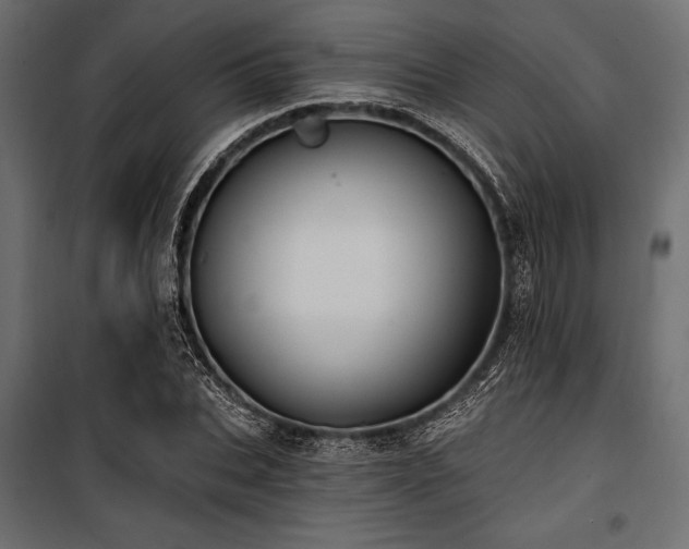 X0000100870927200806201237