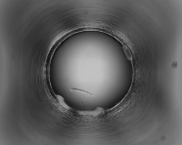 X0000100870928200806201237