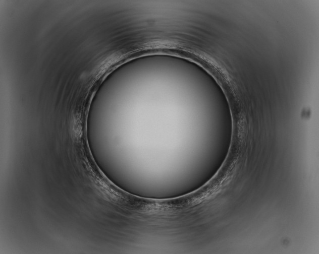 X0000100870929200806201237