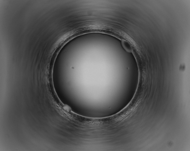 X0000100870930200806201237