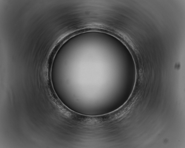 X0000100870931200806201237