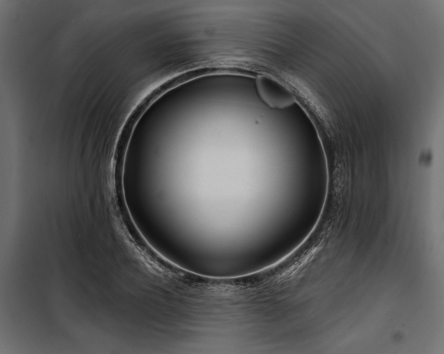 X0000100870932200806201237