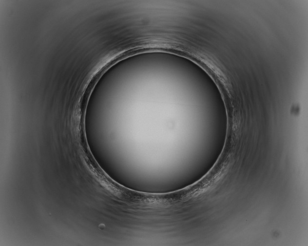 X0000100870933200806201237