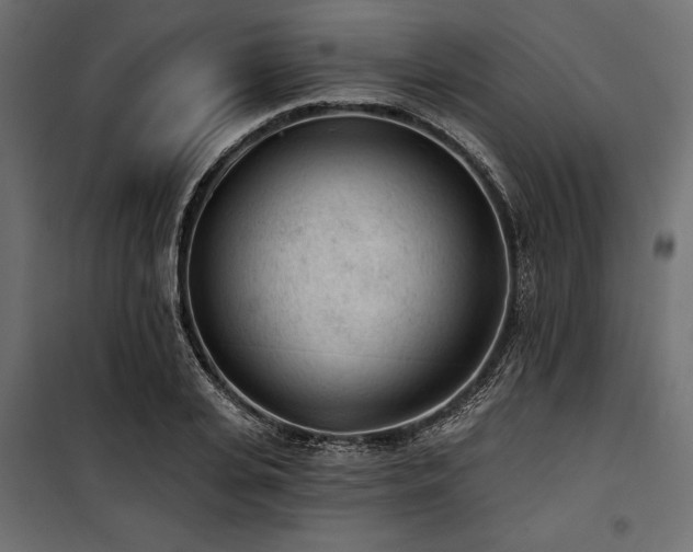 X0000100870935200806201237