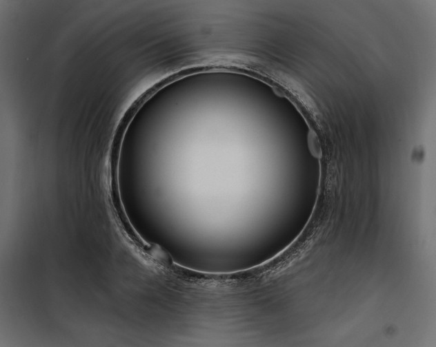 X0000100870936200806201237