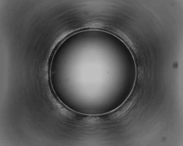 X0000100870939200806201237
