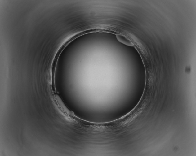 X0000100870940200806201237