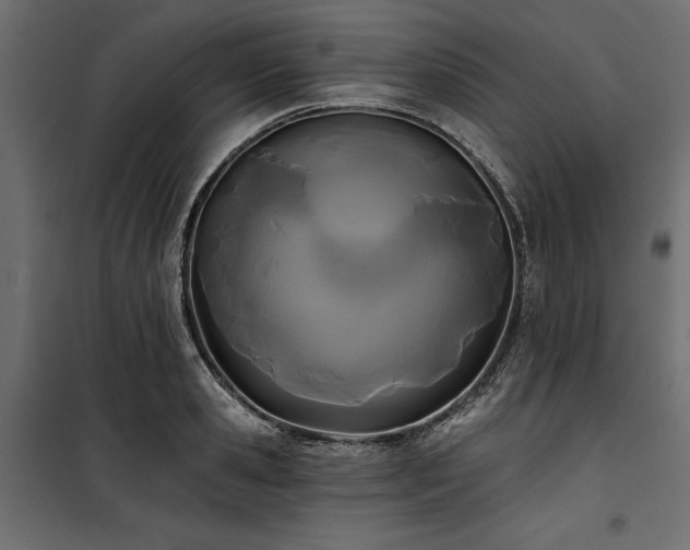 X0000100870941200806201237
