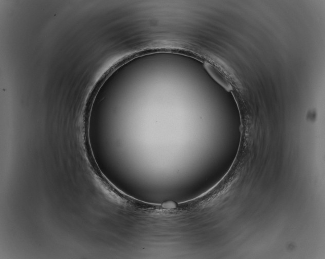 X0000100870942200806201237