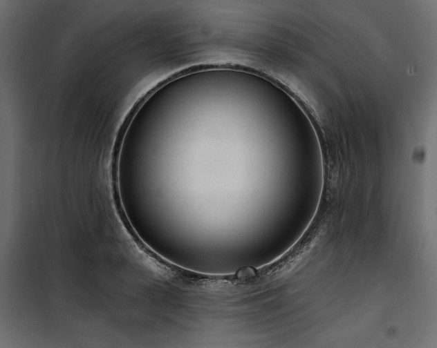 X0000100870943200806201237
