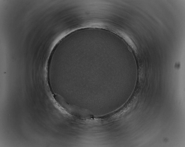 X0000100870944200806201237