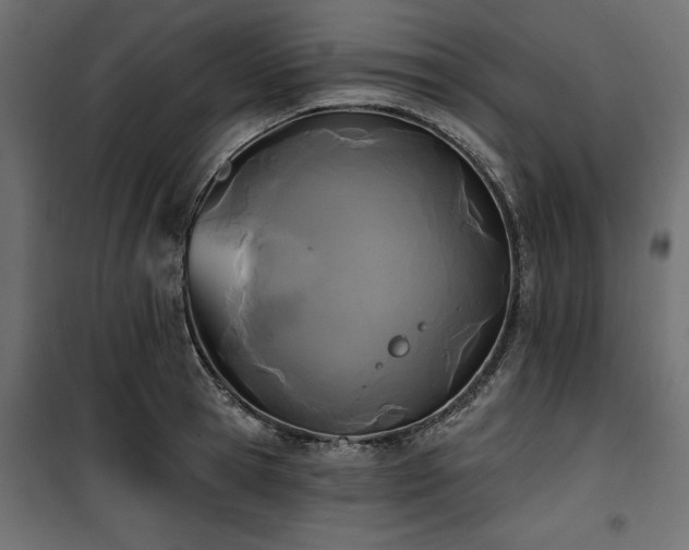 X0000100870945200806201237