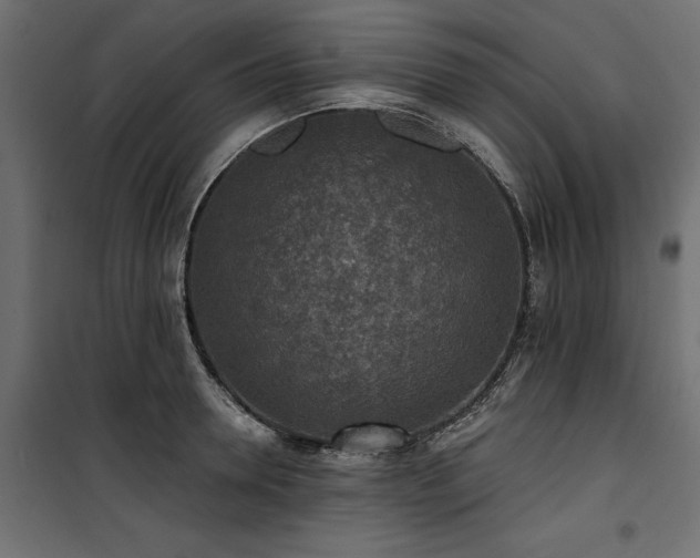 X0000100870946200806201237