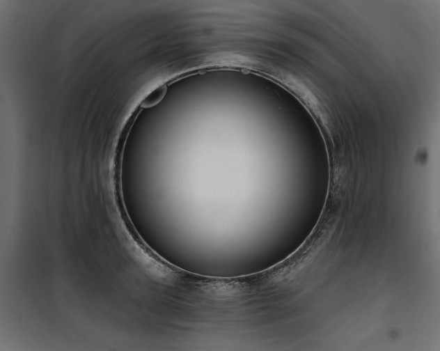 X0000100870947200806201237