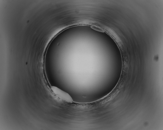 X0000100870948200806201237