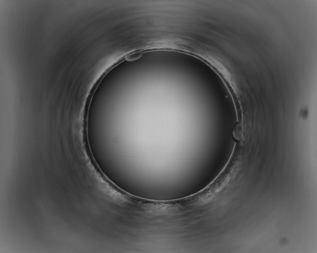 X0000100870949200806201237