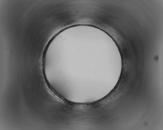 X0000100870950200806201237