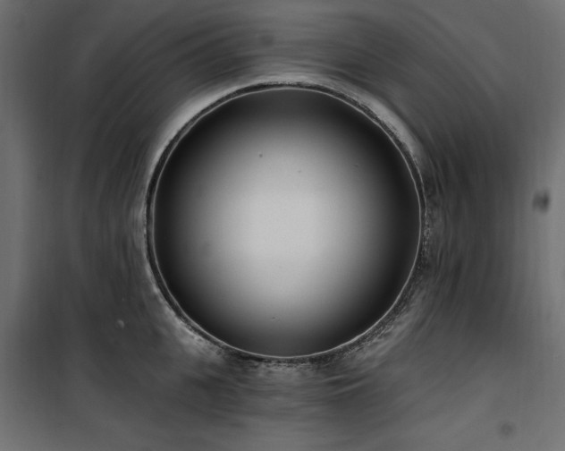 X0000100870951200806201237