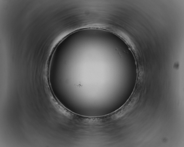 X0000100870952200806201237