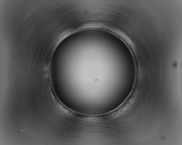 X0000100870953200806201237