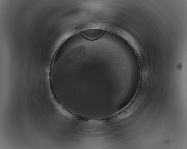X0000100870954200806201237