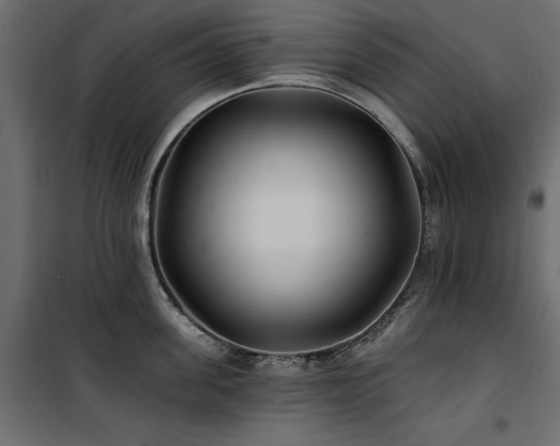 X0000100870955200806201237