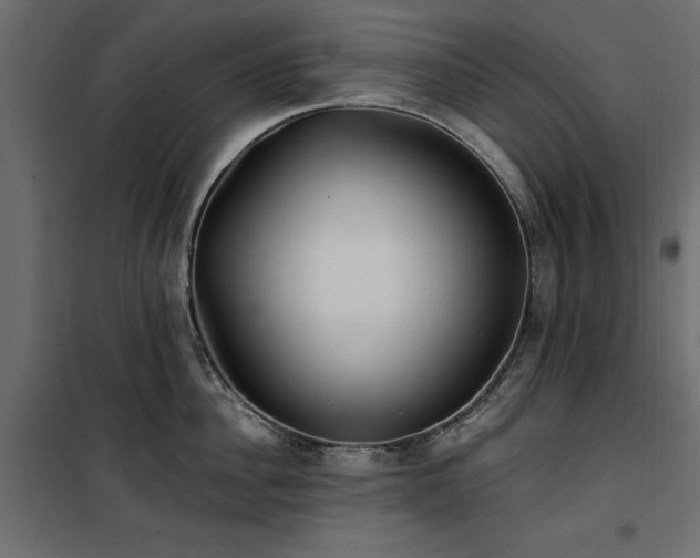 X0000100870956200806201237