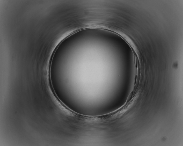 X0000100870957200806201237