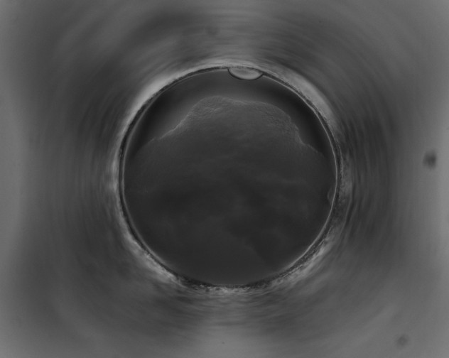 X0000100870958200806201237