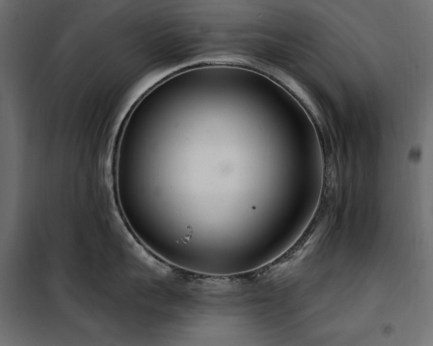 X0000100870959200806201237
