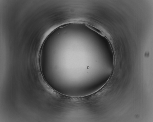 X0000100870960200806201237