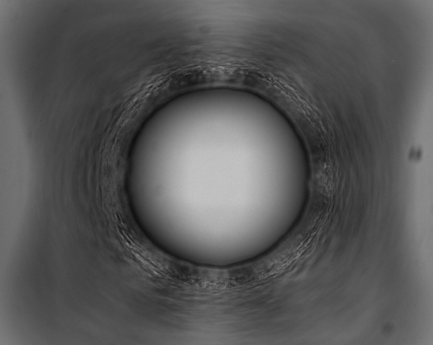 X0000100870961200806201236