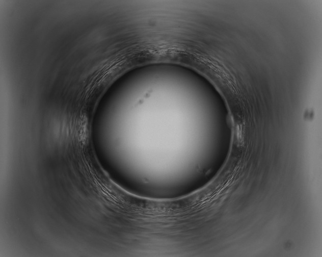 X0000100870963200806201236